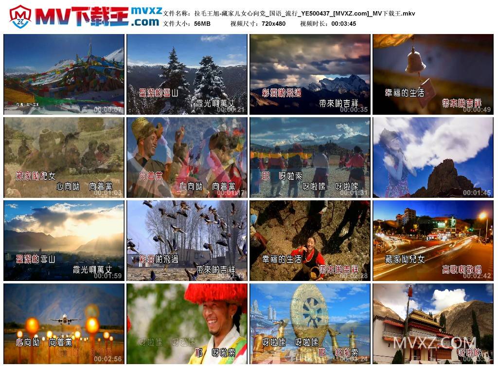 拉毛王旭-藏家儿女心向党_国语_流行_YE500437